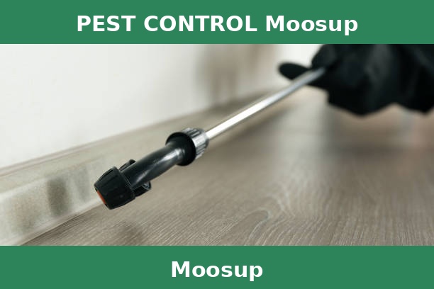 PEST CONTROL Moosup